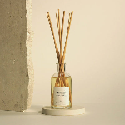 Transform Your Space with Olphactory Citrus Reed Diffuser