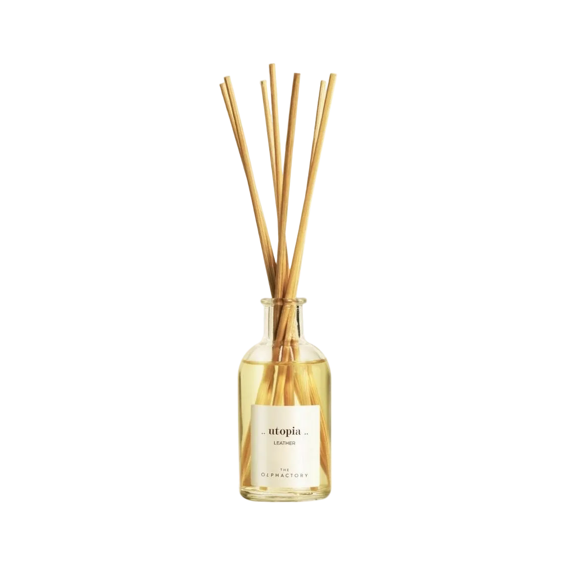 Enhance Atmosphere Elegantly: Olphactory Diffuser Review