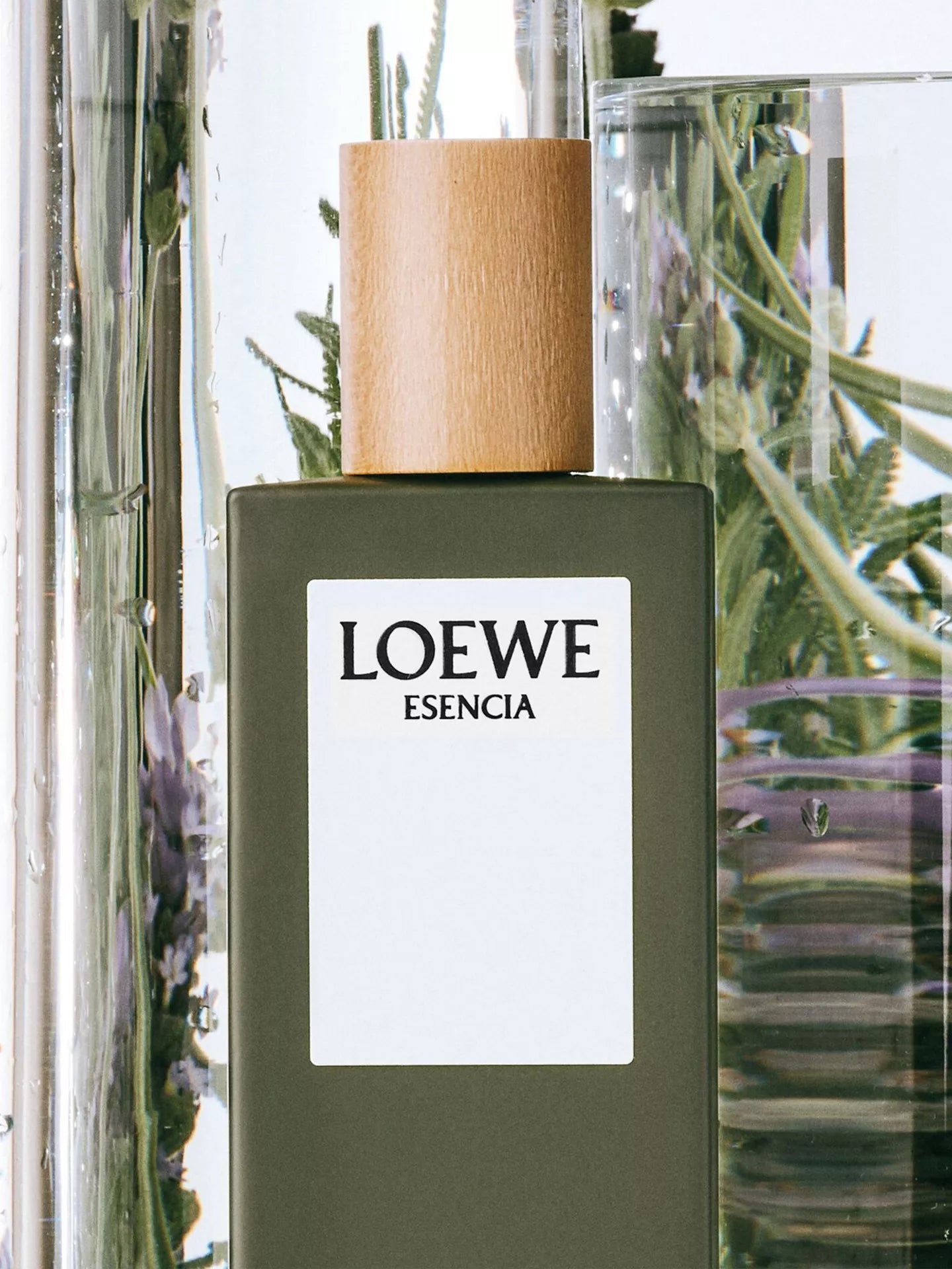 Loewe Esencia Eau de Toilette 100ml Spray
