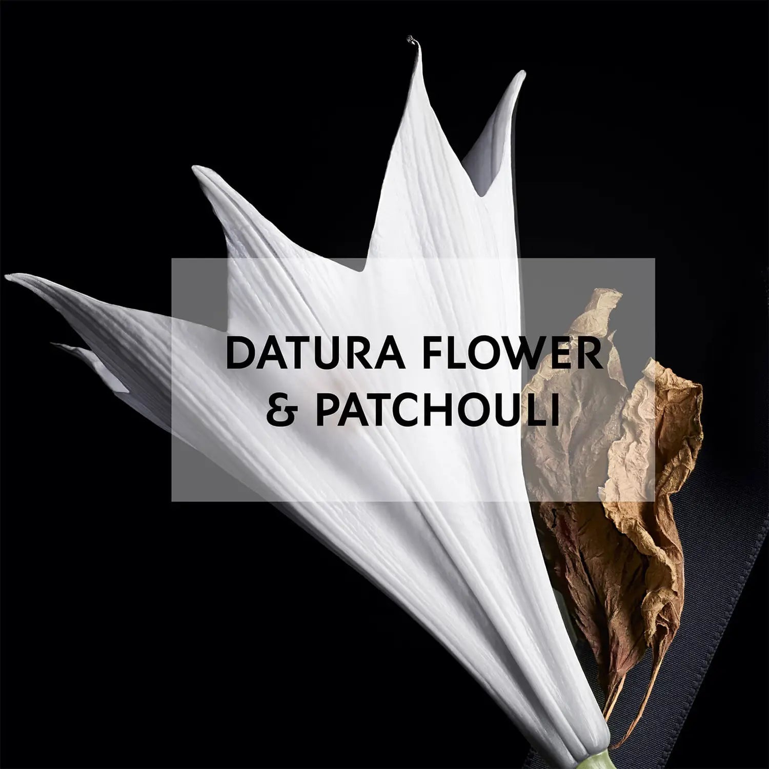 Yves Saint Laurent Mon Paris Eau de Parfum 50ml - Perfume & Cologne at MyBeautyBoutique by Yves Saint Laurent