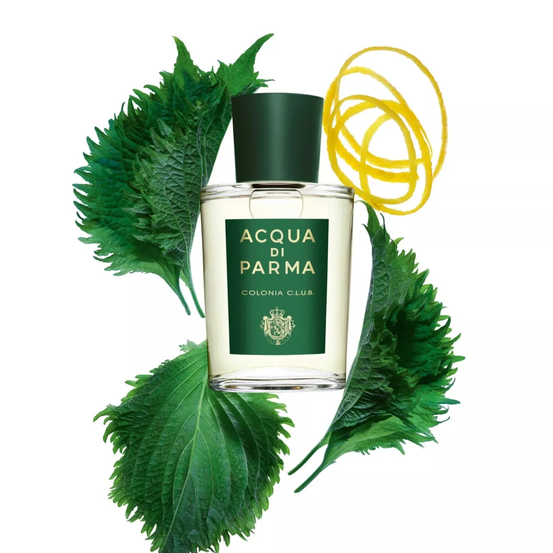 Acqua Di Parma Colonia C.L.U.B. Eau de Cologne 100ml Spray - Fragrance at MyBeautyBoutique by Acqua di Parma
