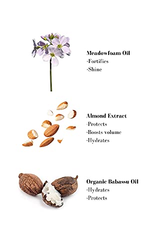 Leonor Greyl Soin Repigmant Color-Enhancing Conditioner 200ml - Icy Brown