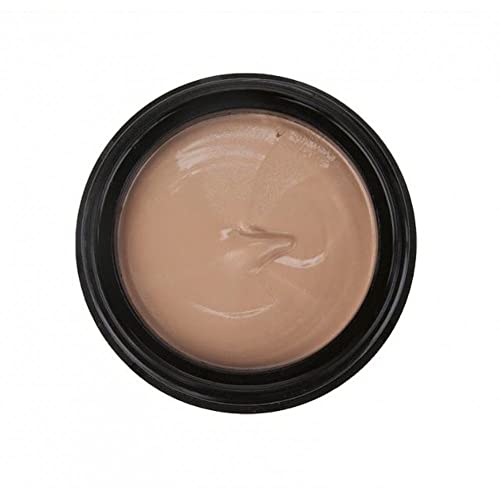 Leichner Camera Clear Tinted Foundation Blend Of Tan