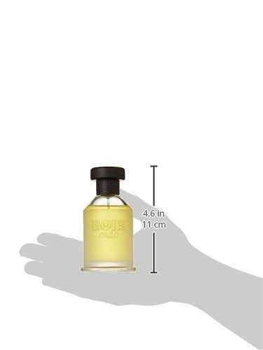 Bois 1920 Eau de Toilette Vetiver Ambrato 100ml - Perfume & Cologne at MyBeautyBoutique by Bois 1920