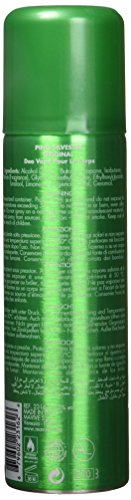 Pino Silvestre Original Deospray 200ml - Toiletries at MyBeautyBoutique by Pino Silvestre