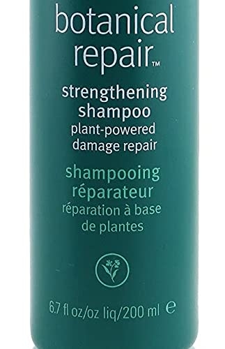 Aveda Botanical Repair Strengthening Shampoo 200ml