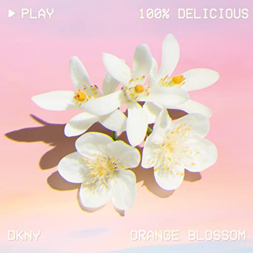 DKNY Be 100% Delicious Eau de Parfum 100ml Spray - Eau de Parfum at MyBeautyBoutique by DKNY