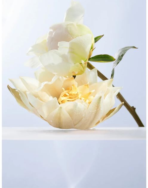 Bvlgari Omnia Crystalline Eau de Toilette 50ml Spray