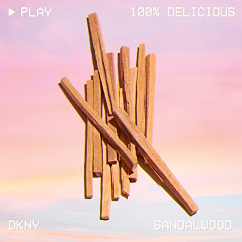 DKNY Be 100% Delicious Eau de Parfum 100ml Spray - Eau de Parfum at MyBeautyBoutique by DKNY