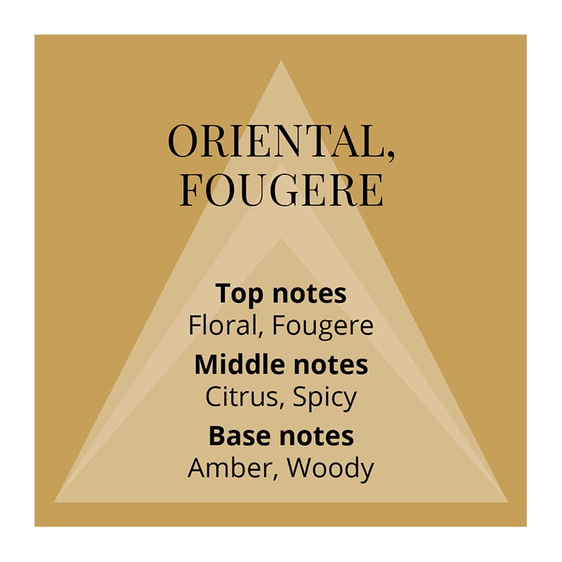 Colour Me Gold Gift Set 50ml EDT + 10ml Roll-on Perfume - Eau de Toilette at MyBeautyBoutique by Colour Me