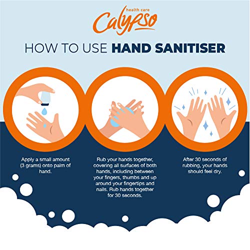 Calypso Anti-Bacterial Hand Hygiene Gel 100ml