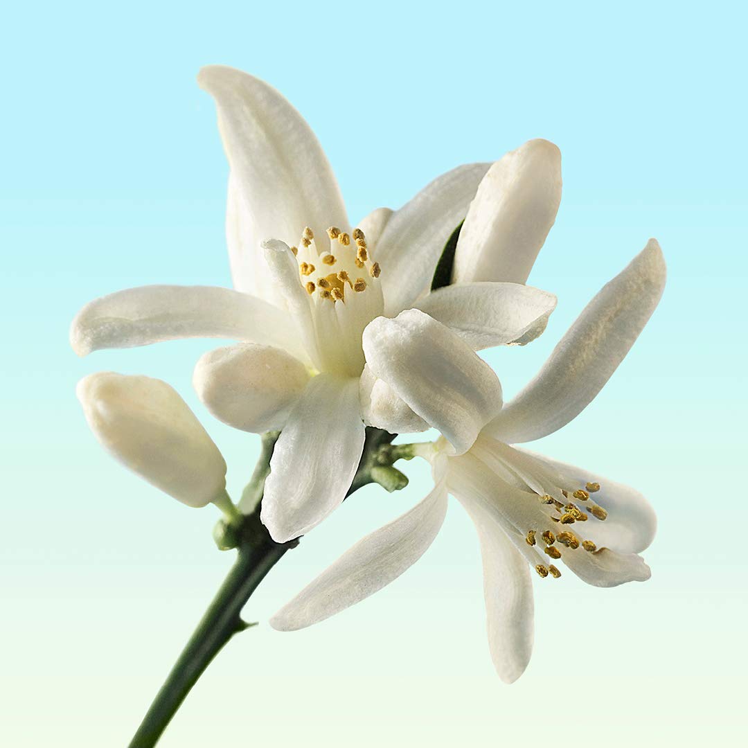 Calvin Klein One Gold Eau De Toilette 100ml - Perfume & Cologne at MyBeautyBoutique by Calvin Klein