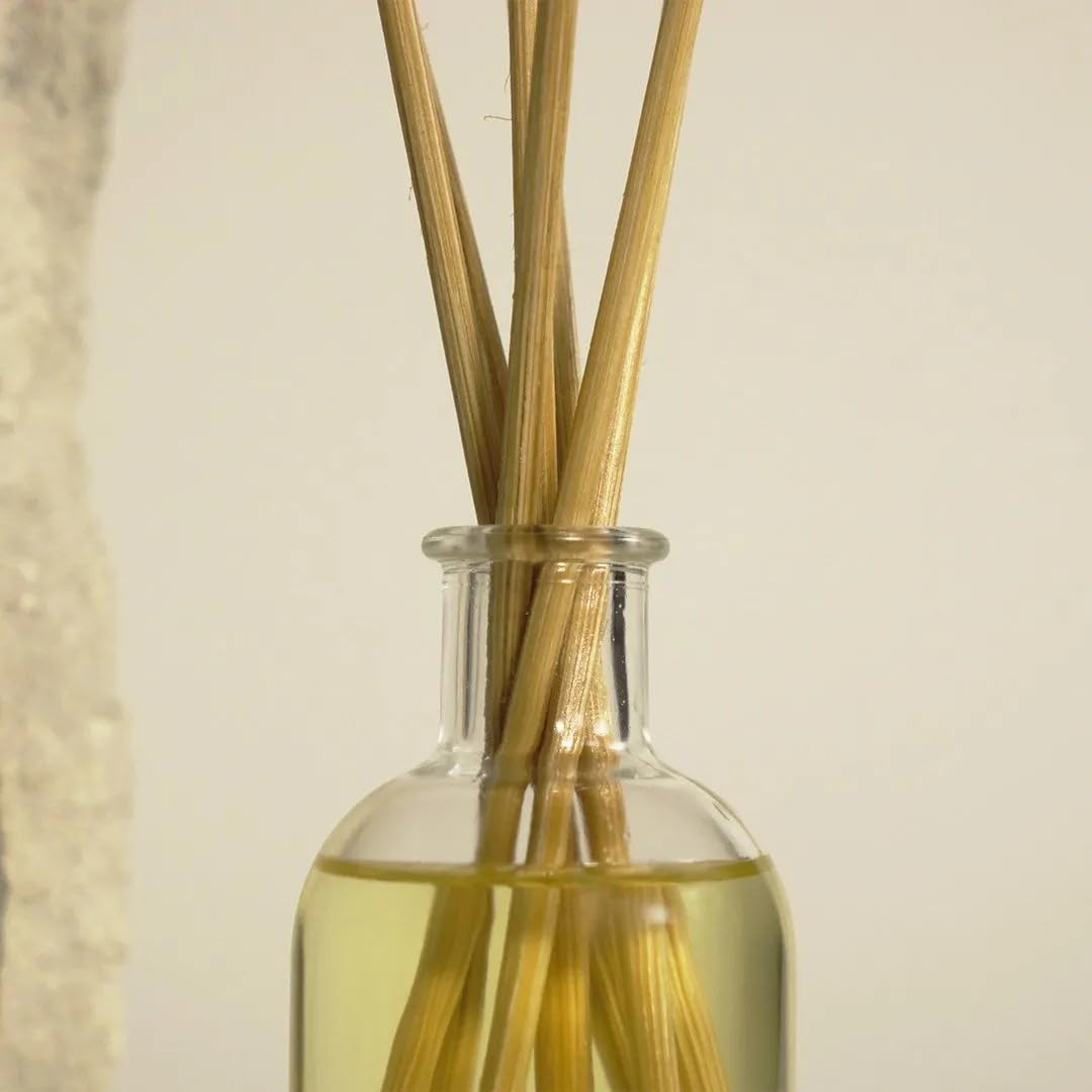 The Olphactory Relax White Musk Reed Diffuser 100ml