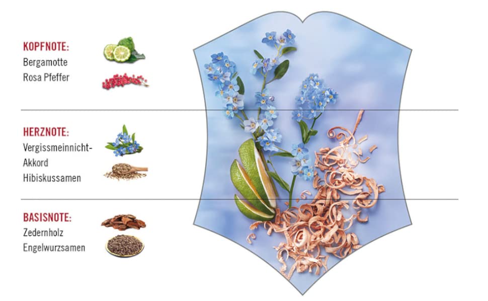 Swiss Army Forget Me Not Eau de Toilette 100ml Spray - Eau de Toilette at MyBeautyBoutique by Swiss Army