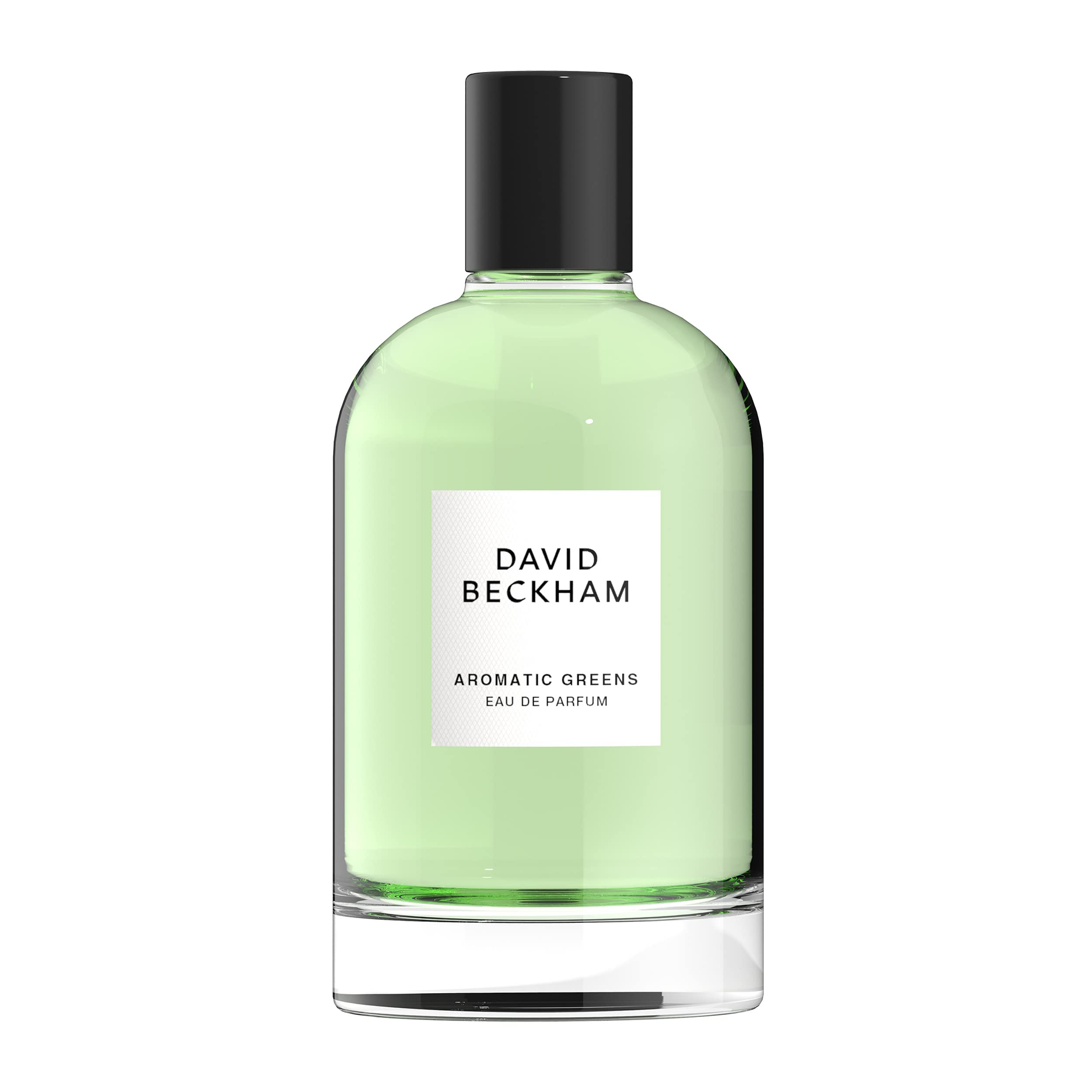David Beckham Aromatic Greens Eau de Parfum 100ml Spray - Fragrance at MyBeautyBoutique by David & Victoria Beckham
