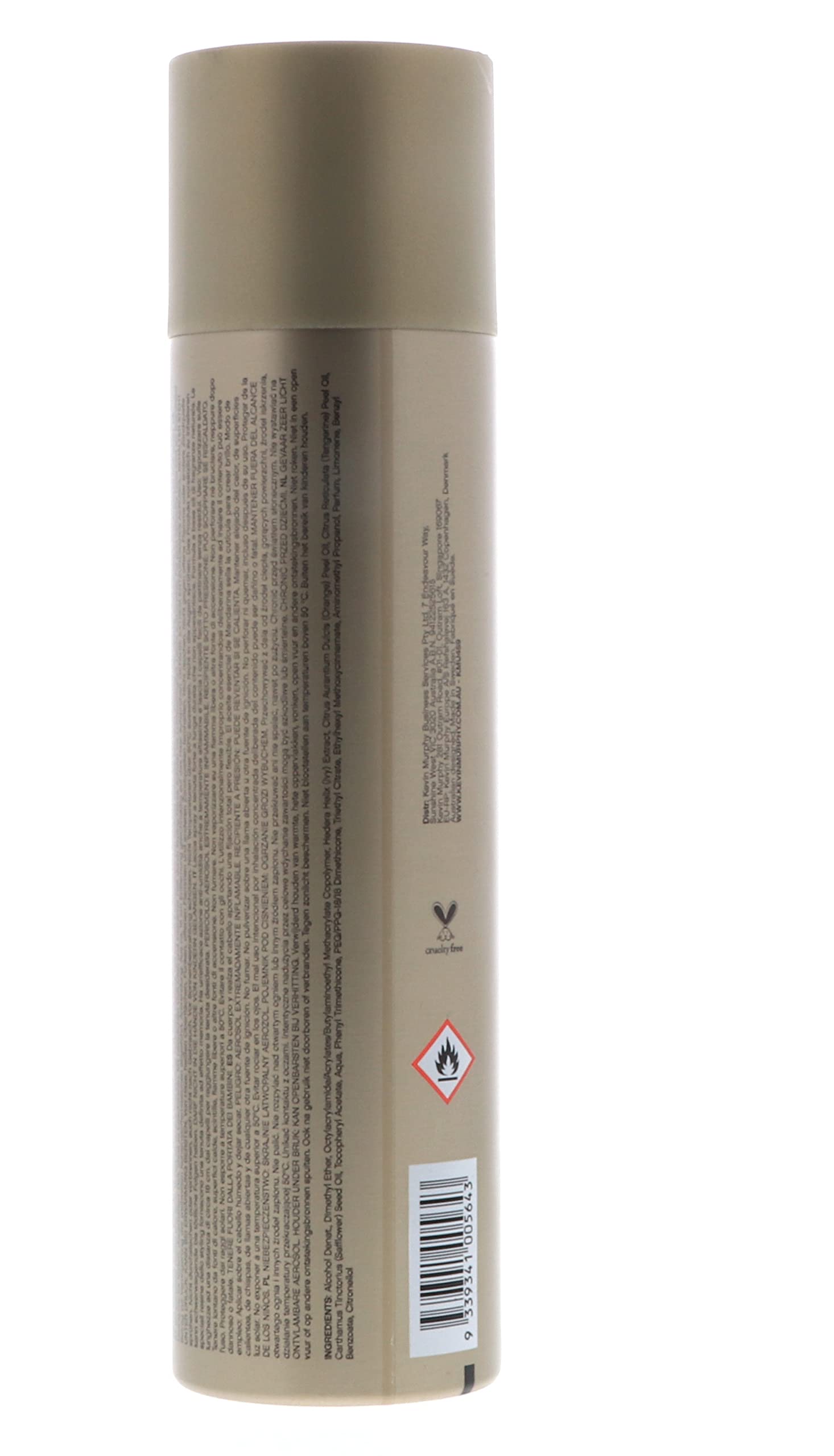 Kevin Murphy Session Spray Finishing Spray 400ml - Strong Hold
