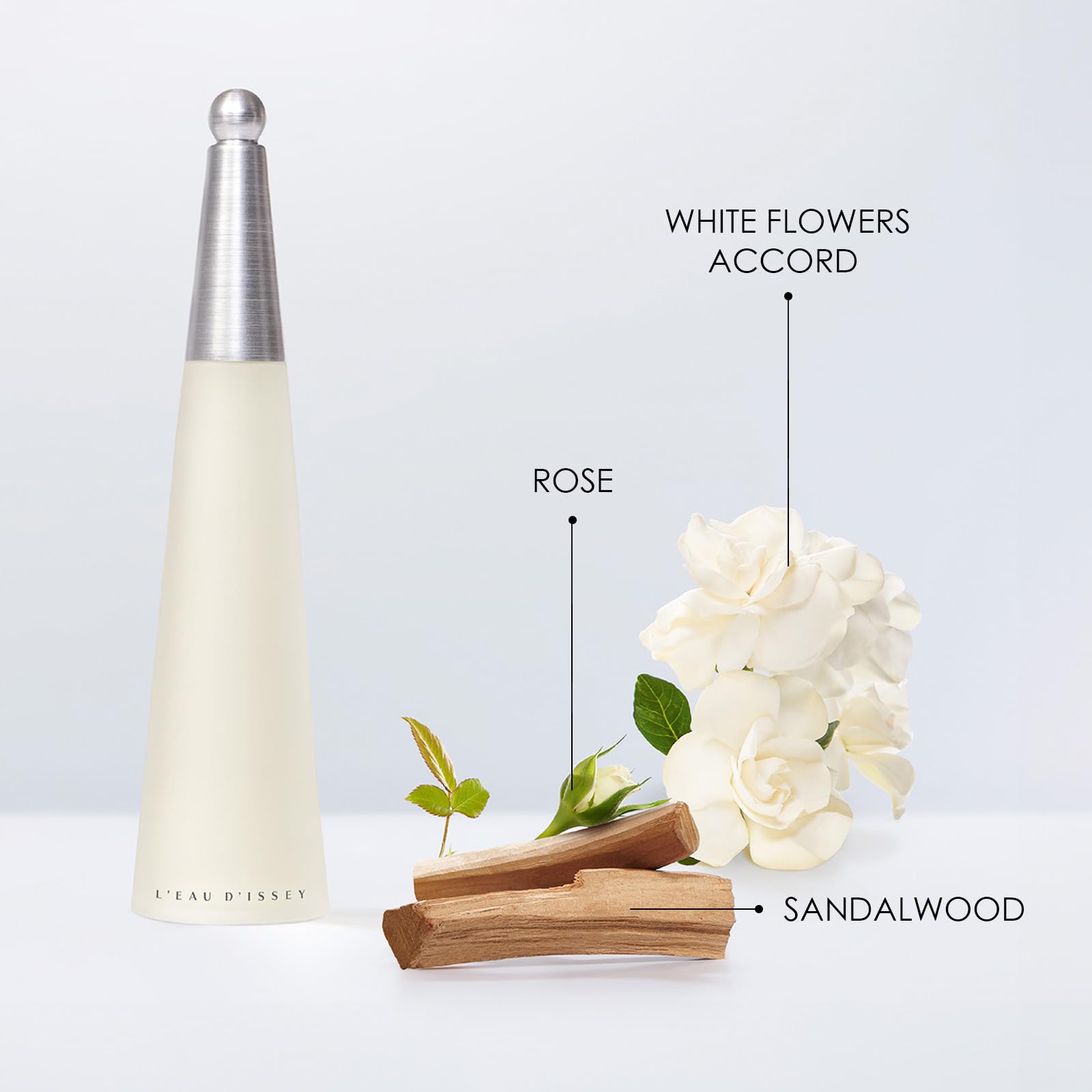 Issey Miyake L'Eau d'Issey Eau de Toilette 25ml Spray