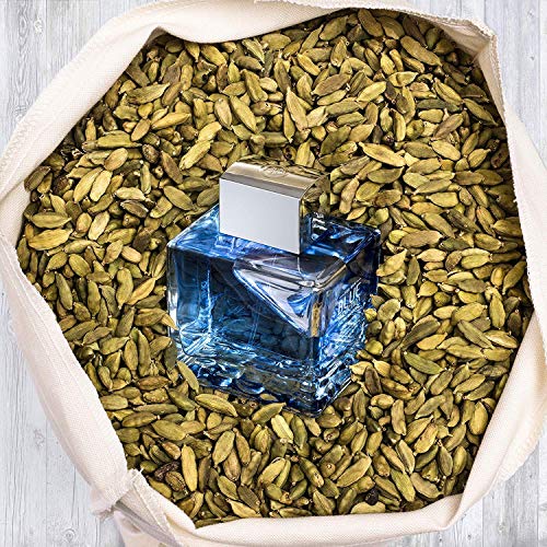 Antonio Banderas Blue Seduction Eau de Toilette 100ml - Fragrance at MyBeautyBoutique by Antonio Banderas