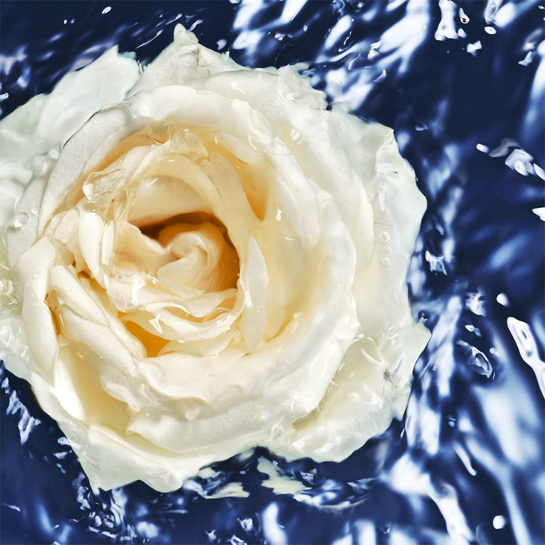 Davidoff Cool Water Woman Eau de Toilette 100ml Spray - Oceanic Edition