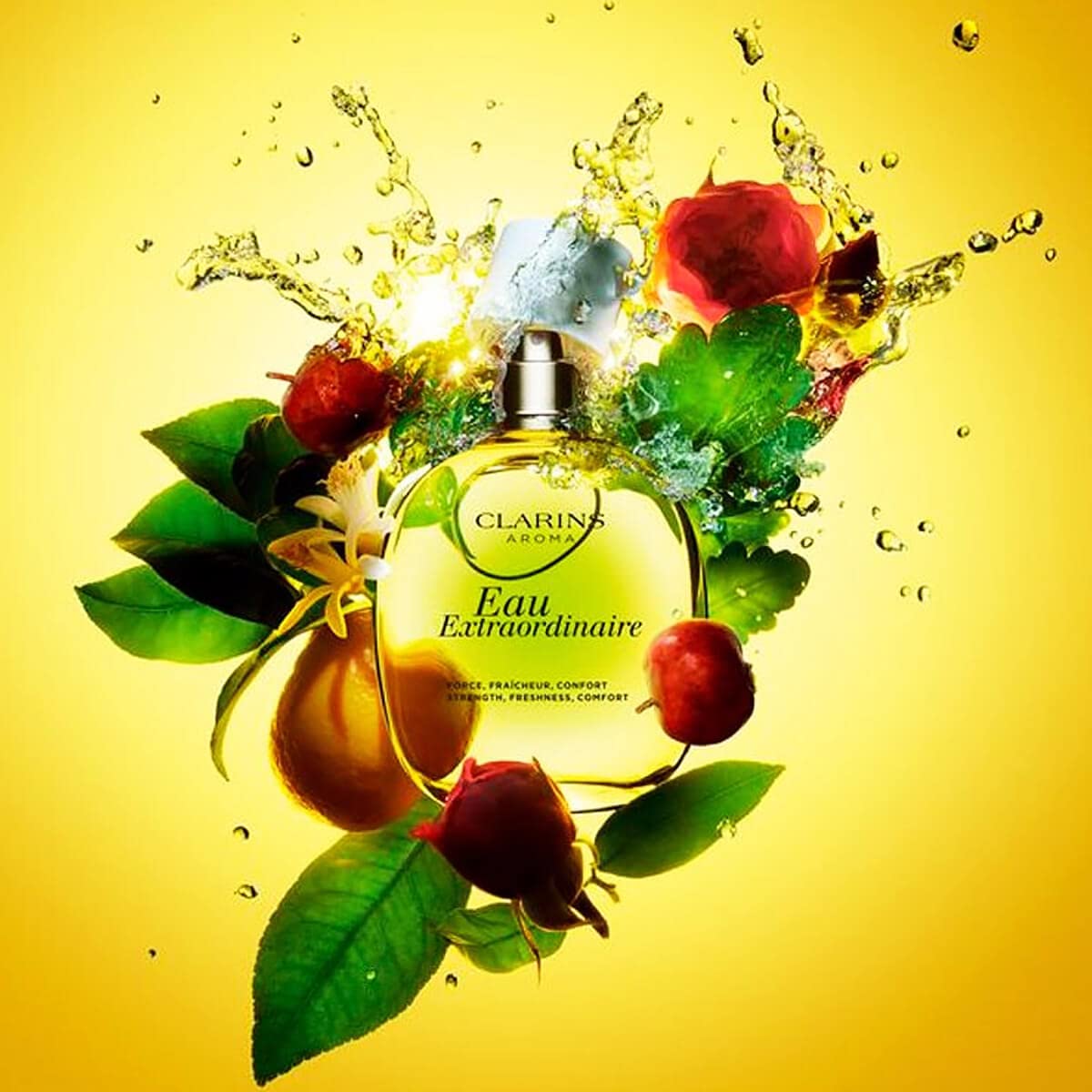 Clarins Eau Extraordinaire Treatment Fragrance 100ml Spray - Fragrance at MyBeautyBoutique by Clarins