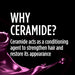 Schwarzkopf Styling Ceramide Complex Hairspray