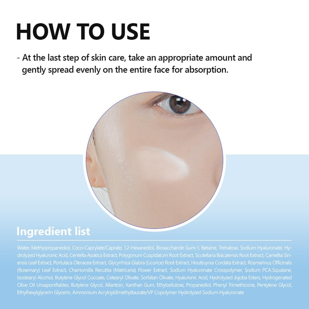Isntree Hyaluronic Acid Aqua Gel Cream 100ml