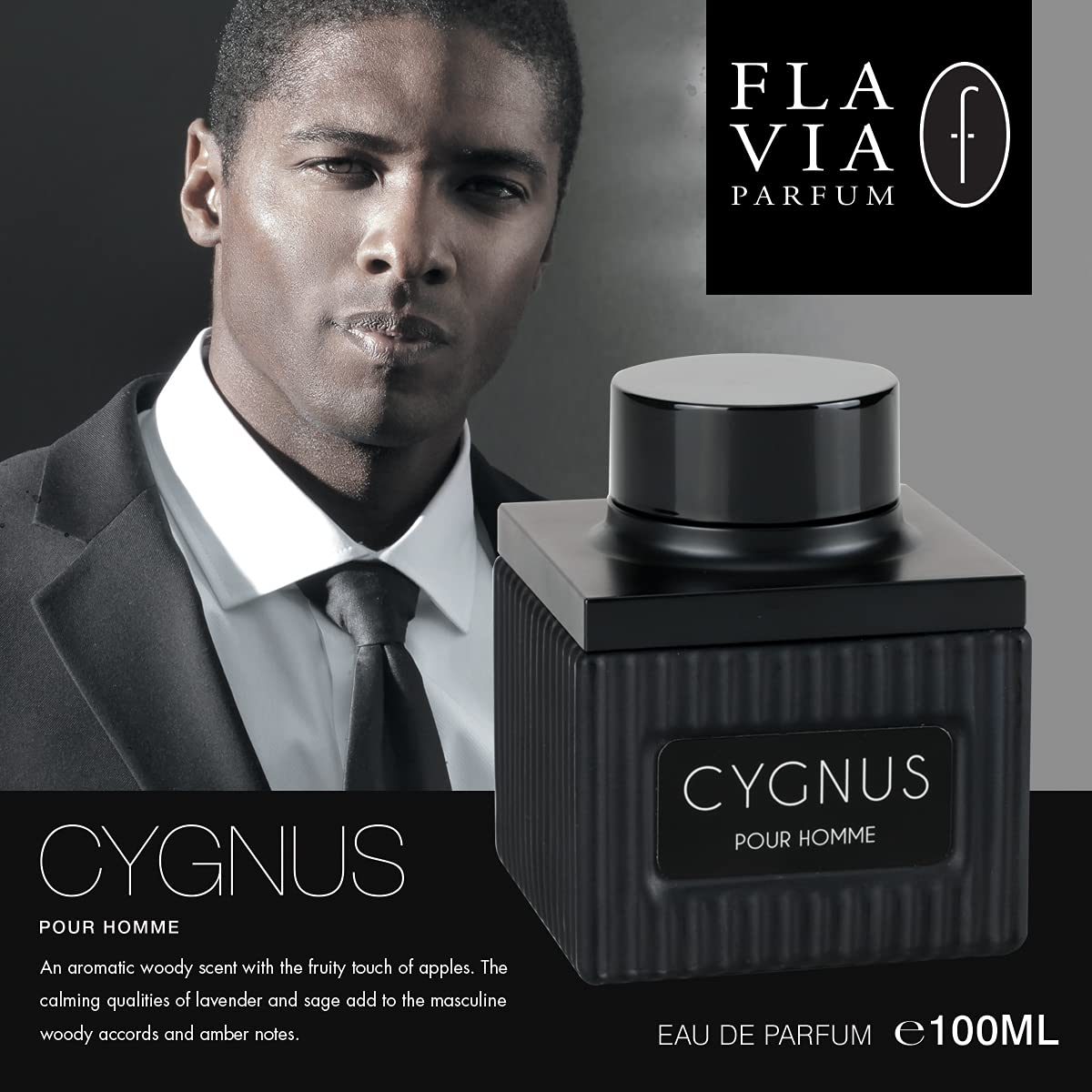 Flavia Cygnus Pour Homme Eau de Parfum 100ml Spray