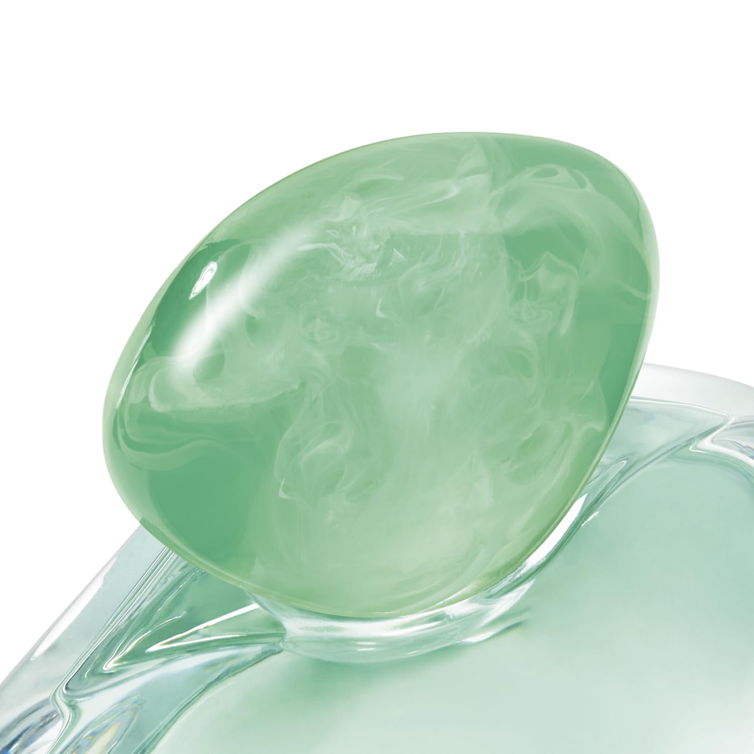 Giorgio Armani Acqua di Gioia Eau de Parfum 100ml Spray