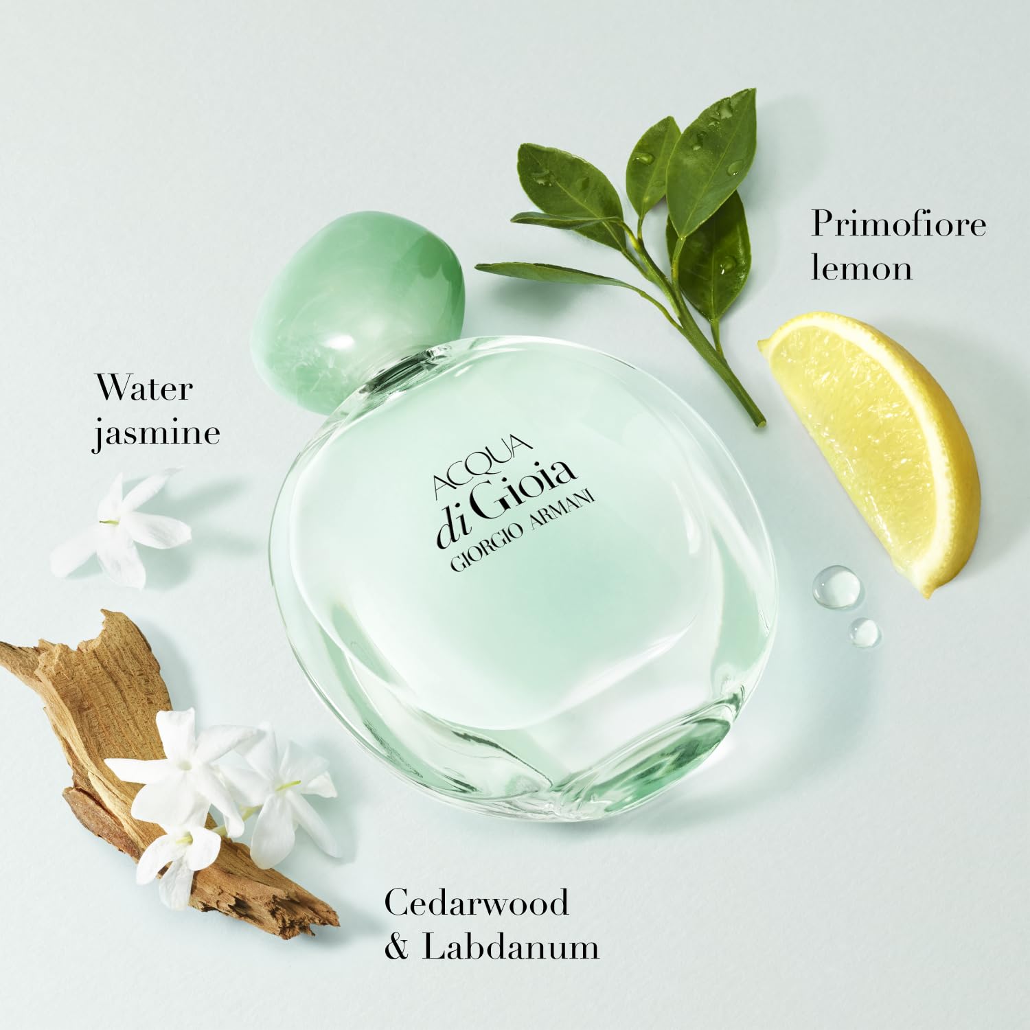 Giorgio Armani Acqua di Gioia Eau de Parfum 100ml Spray