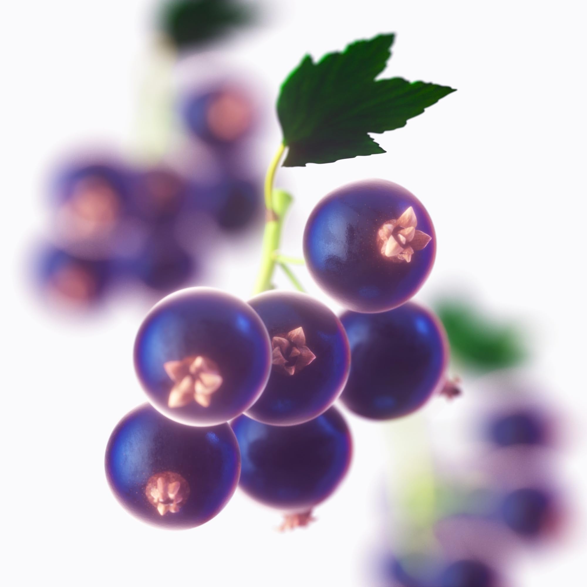 Tommy Hilfiger Tommy Now Girl Eau De Toilette 30ml - Eau de Toilette at MyBeautyBoutique by Tommy Hilfiger