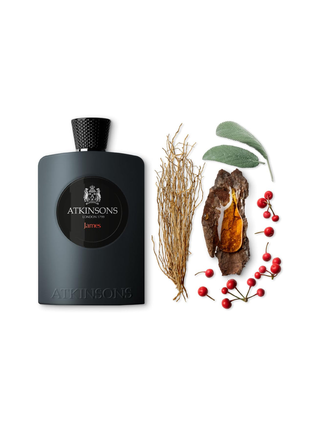 Atkinsons James Eau De Parfum 100ml