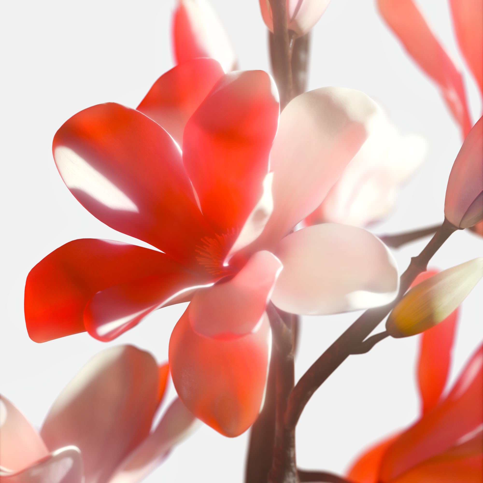 Tommy Hilfiger Tommy Now Girl Eau De Toilette 30ml - Eau de Toilette at MyBeautyBoutique by Tommy Hilfiger