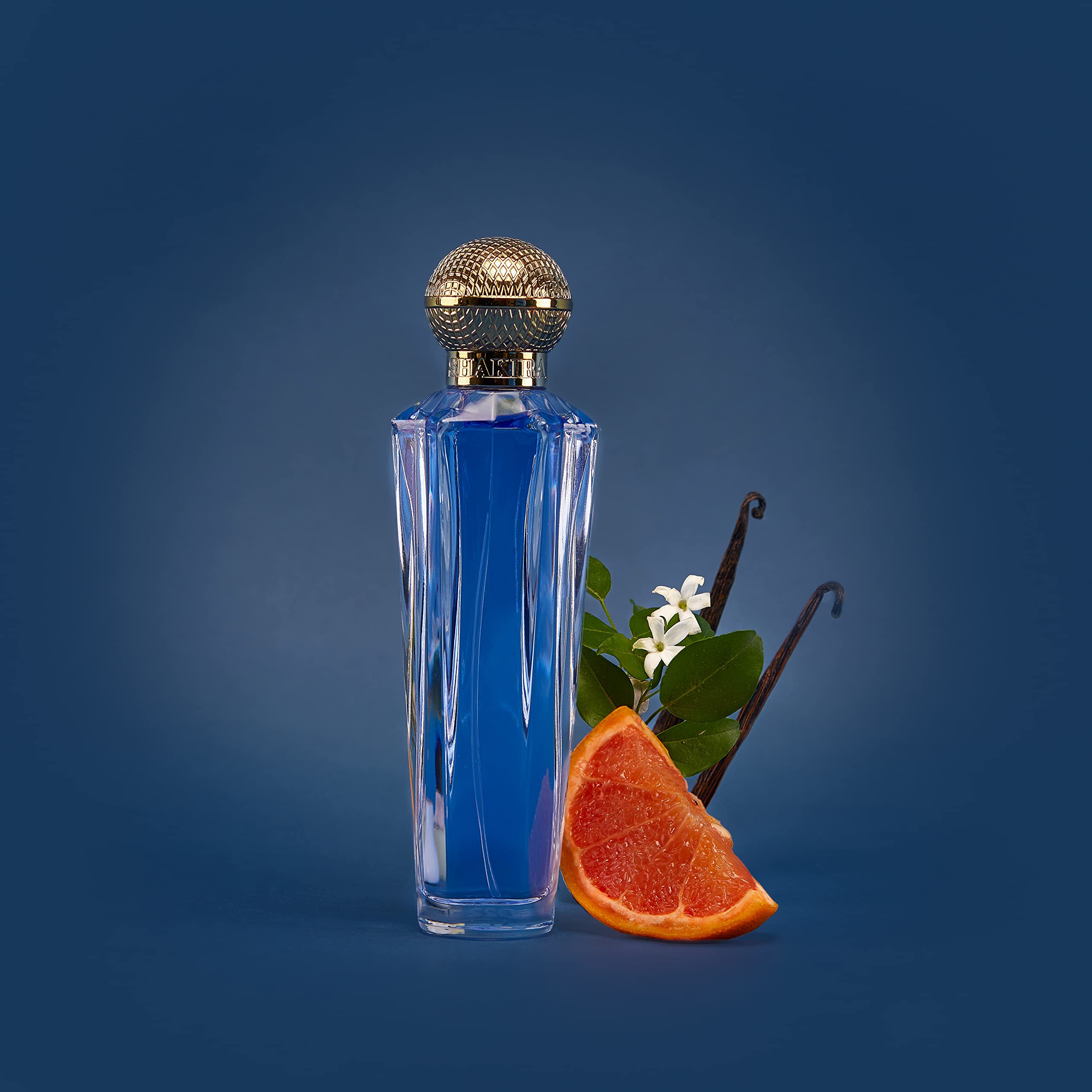 Shakira Dream Eau de Toilette 80ml Spray