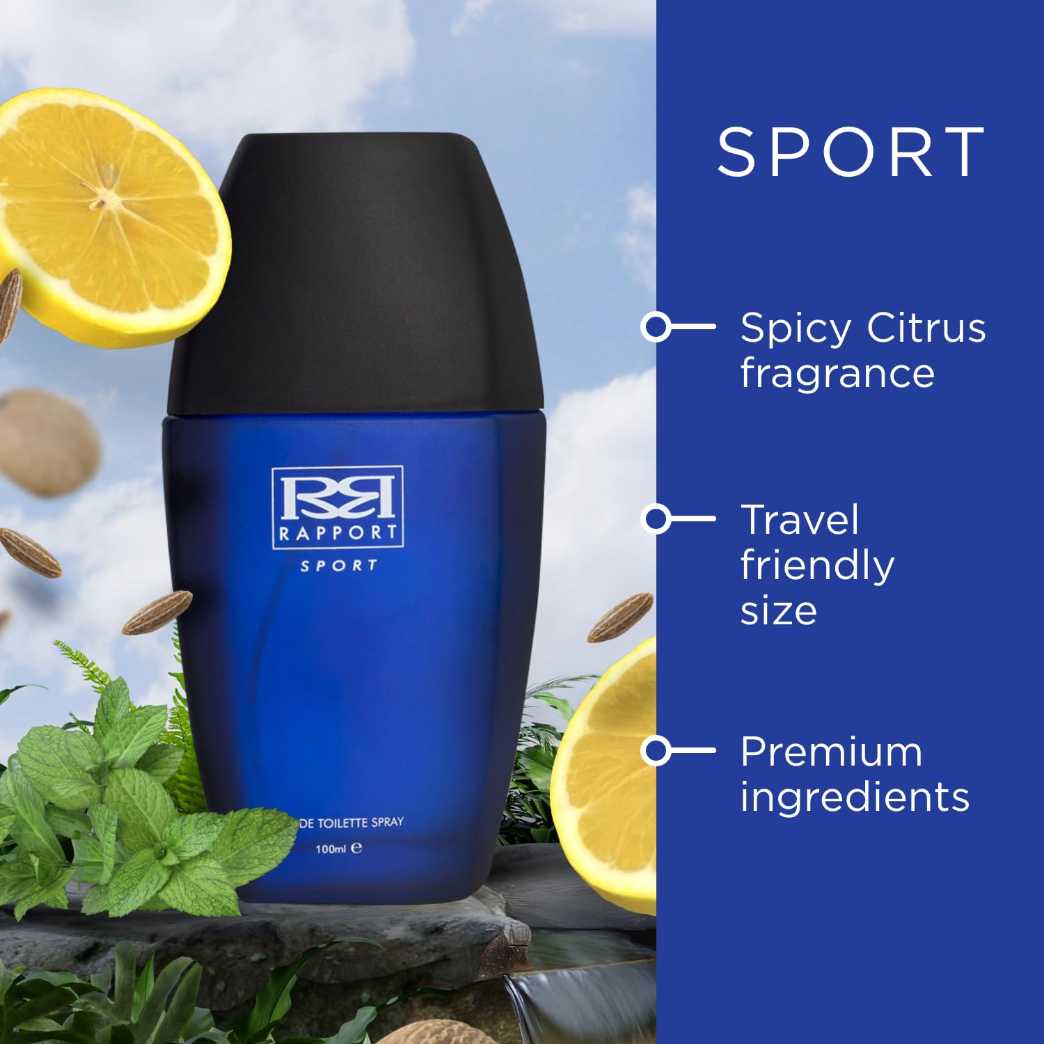 Dana Rapport Sport Eau de Toilette 100ml Spray