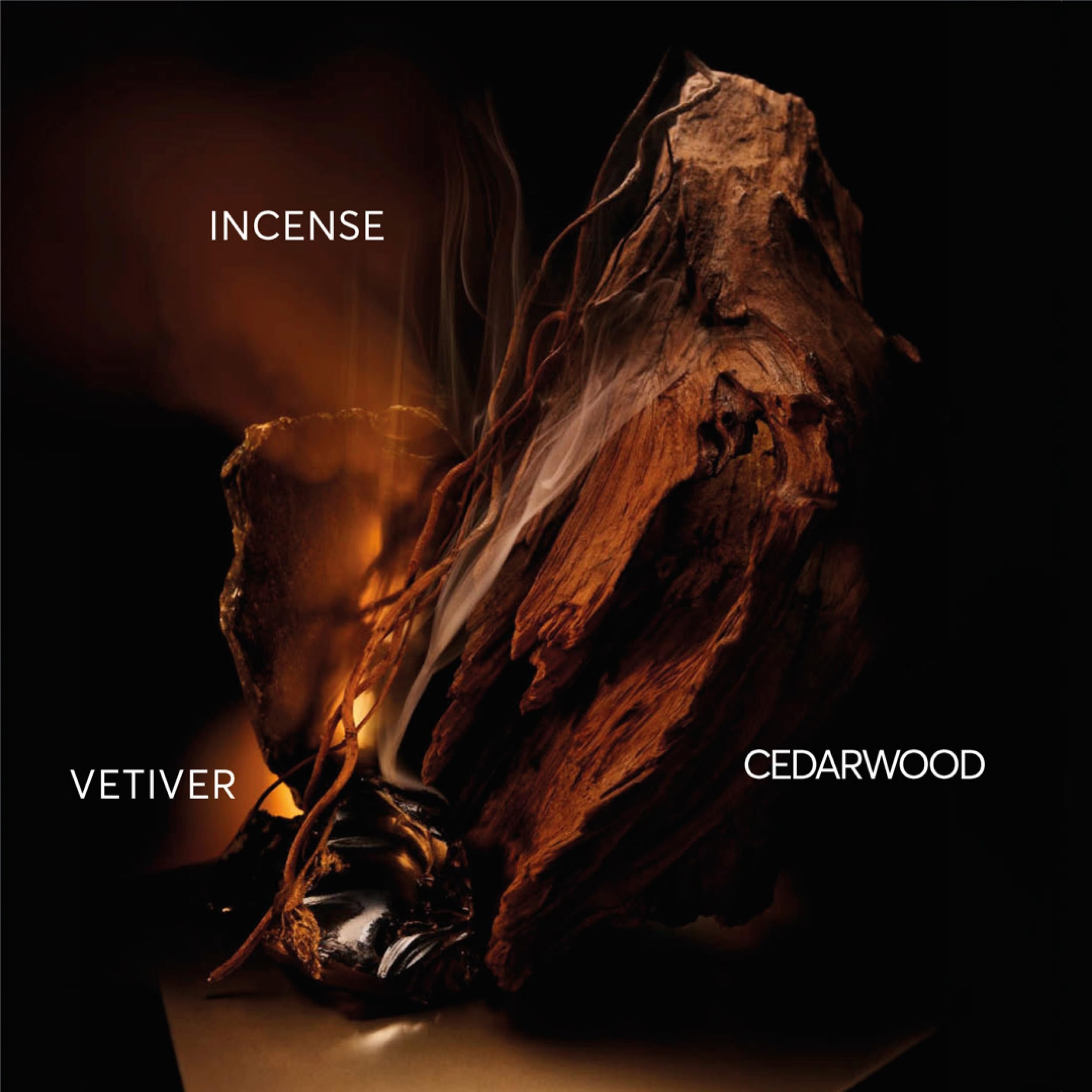 Hugo Boss Bottled Elixir 100ml Spray - Eau de Perfume at MyBeautyBoutique by Hugo Boss