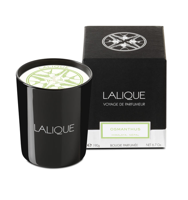 Lalique Osmanthus Himalaya Nepal Candle 190g