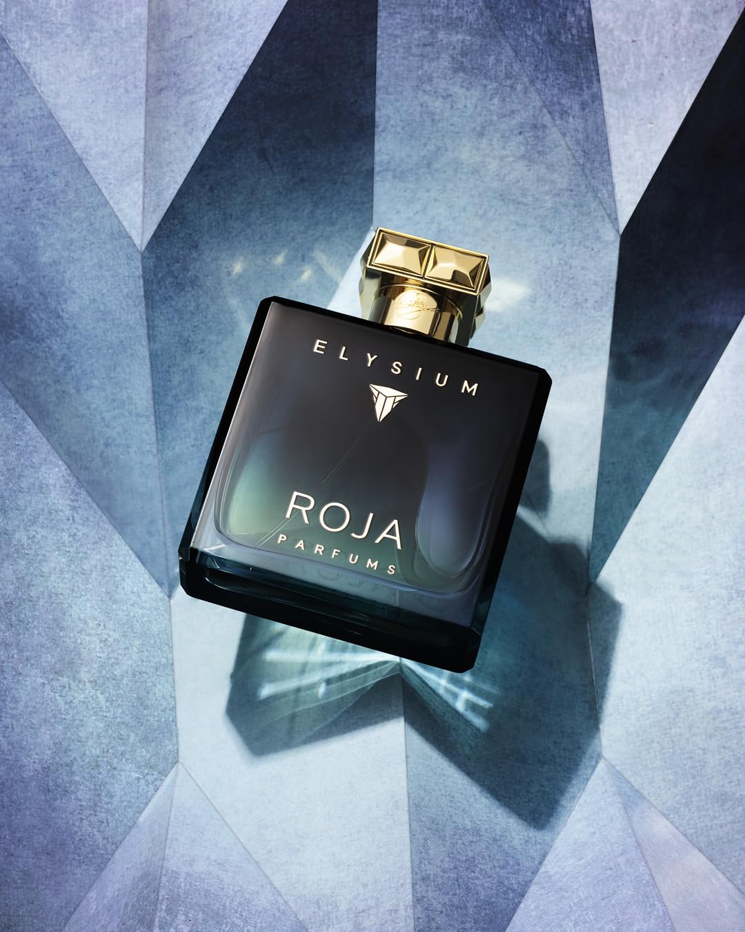 Roja Parfums Elysium Pour Homme Eau de Parfum 100ml Spray