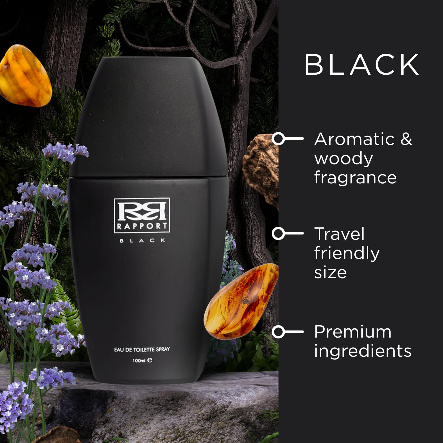 Dana Rapport Black Eau de Toilette 100ml Spray