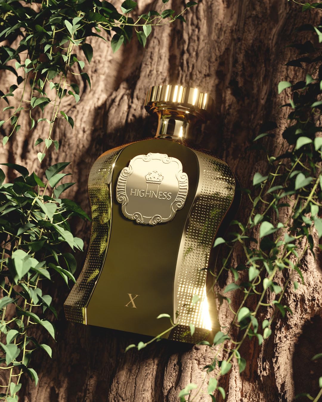 Afnan Highness X Eau de Parfum 100ml Spray