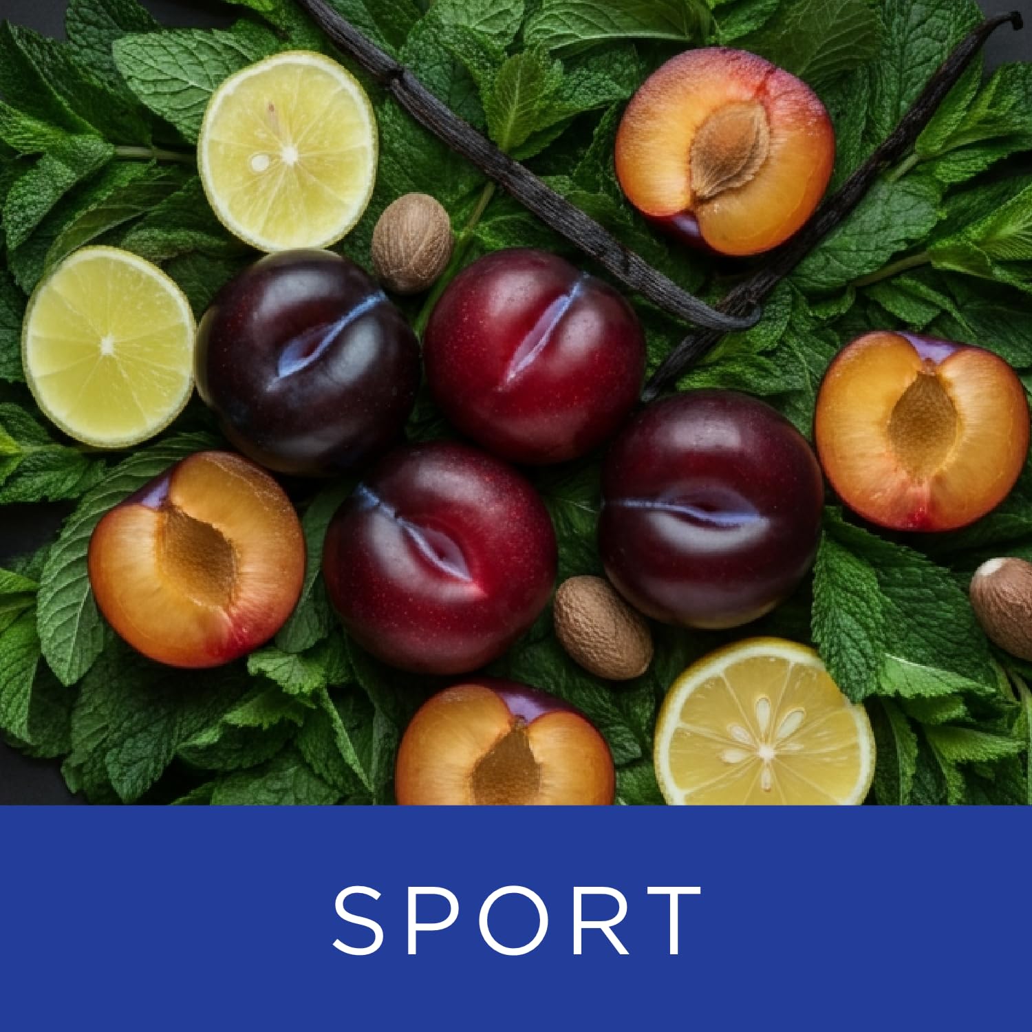 Dana Rapport Sport Eau de Toilette 100ml Spray