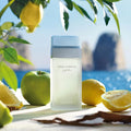 Dolce  Gabbana Light Blue Eau de Toilette 25ml - Eau De Toilette at MyBeautyBoutique by Dolce & Gabbana