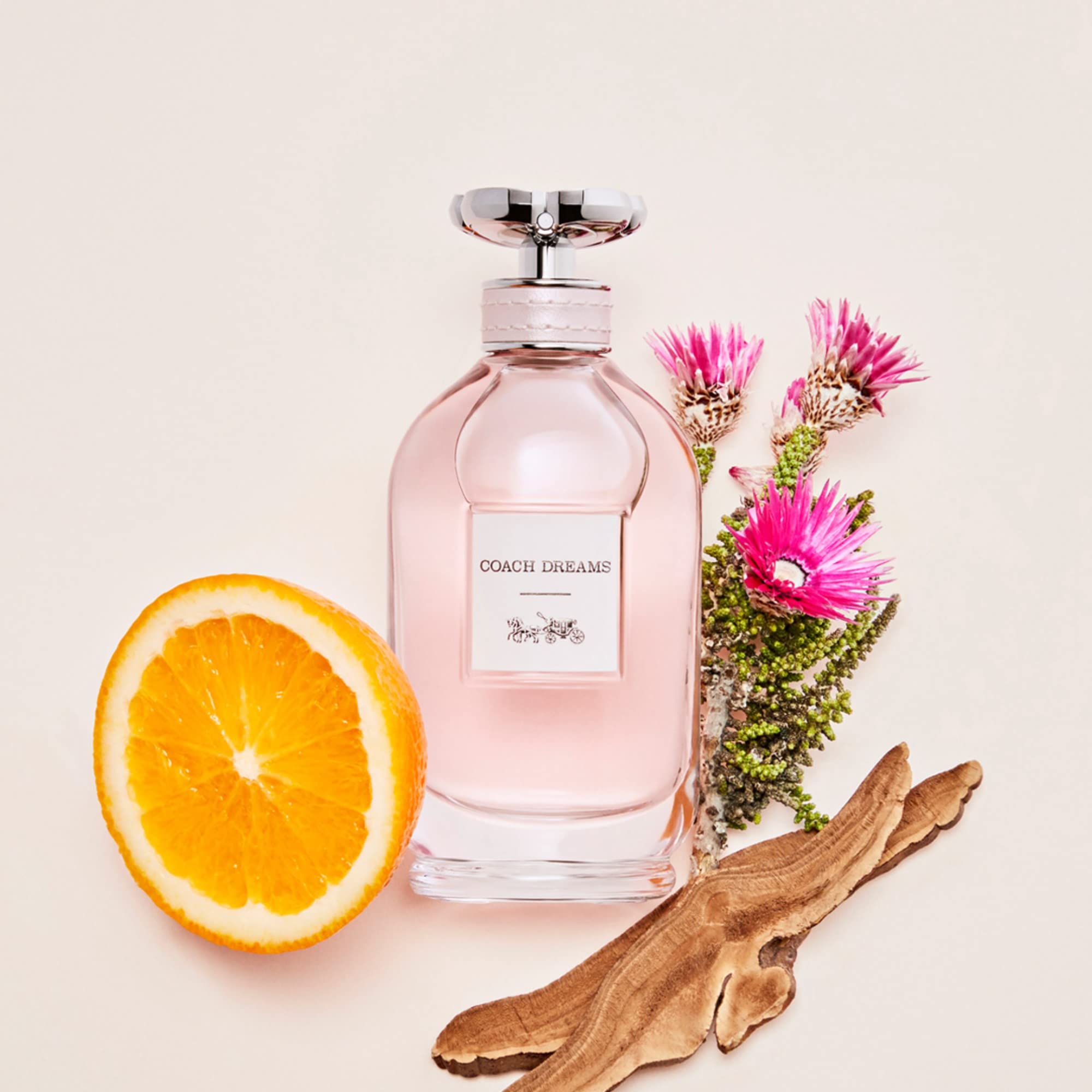 Coach Dreams Eau de Parfum 40ml Spray - Fragrance at MyBeautyBoutique by Coach