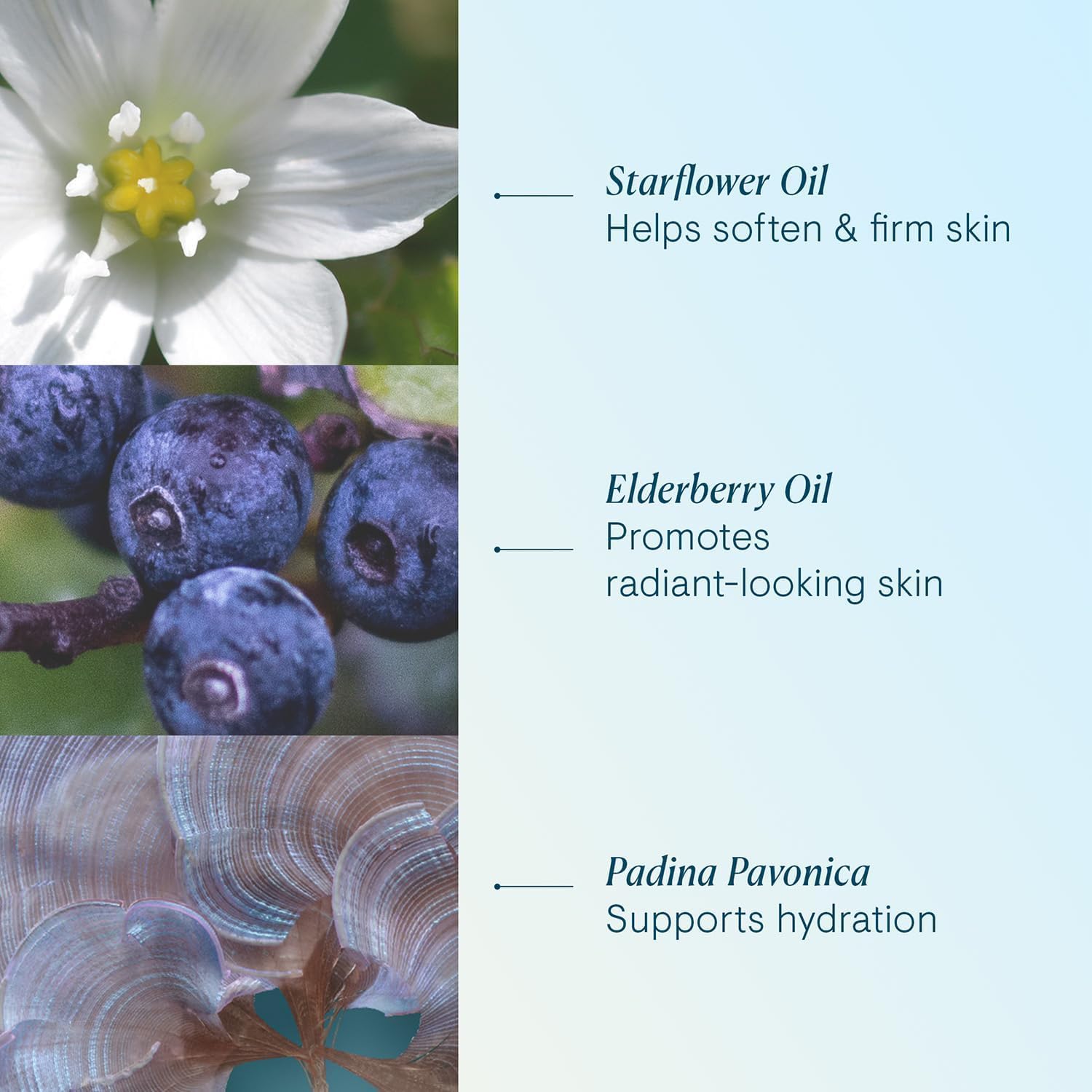 Elemis Pro-Collagen Green Fig Cleansing Balm 100g