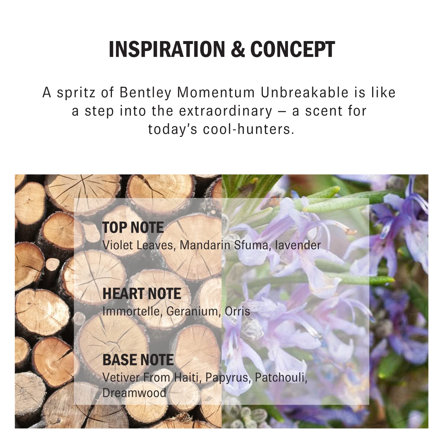 Bentley Momentum Unbreakable Eau de Parfum 100ml Spray