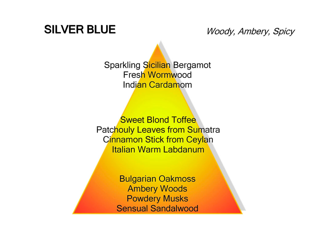 Mancera Silver Blue Eau de Parfum 120ml Spray