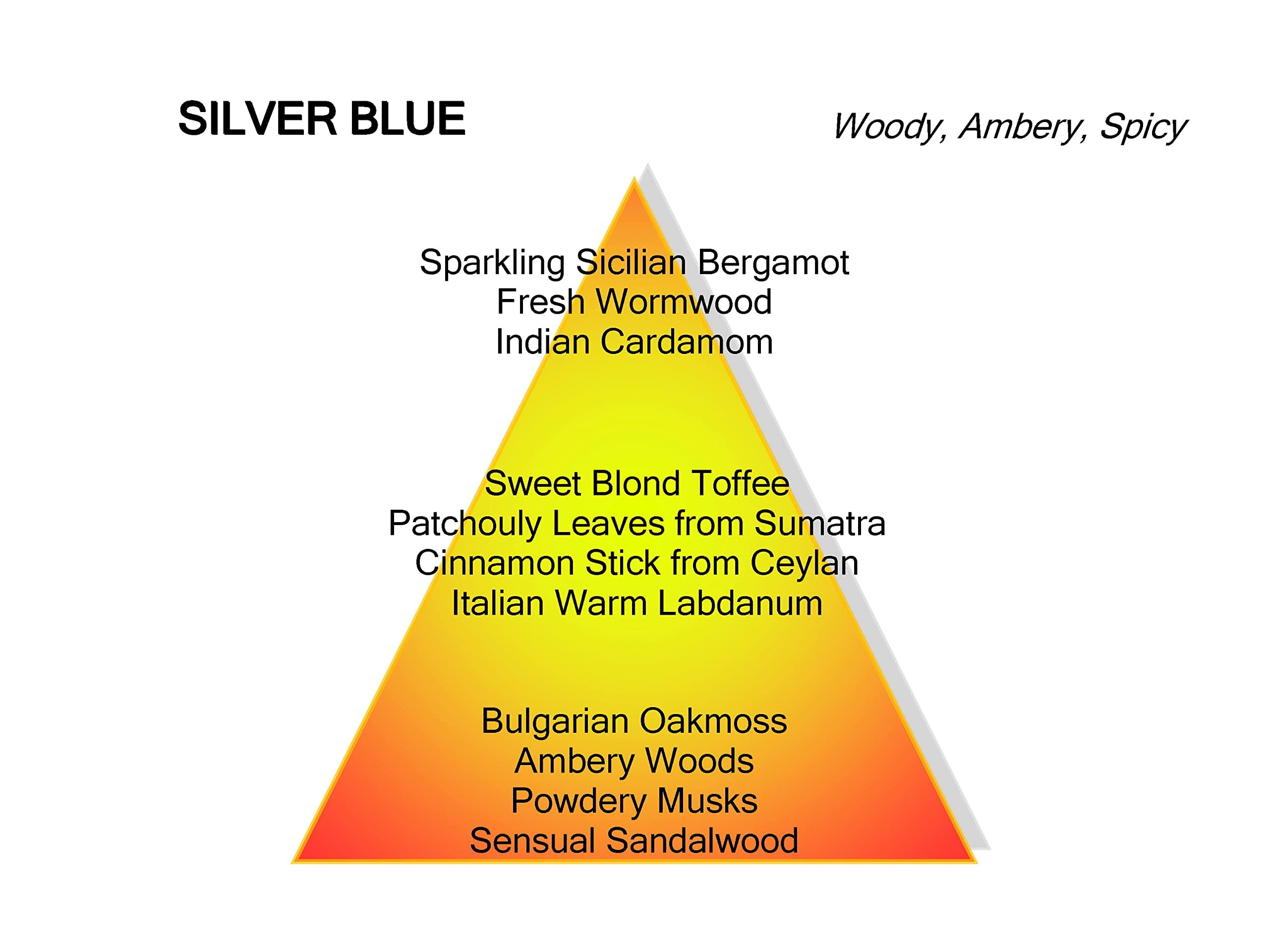 Mancera Silver Blue Eau de Parfum 120ml Spray