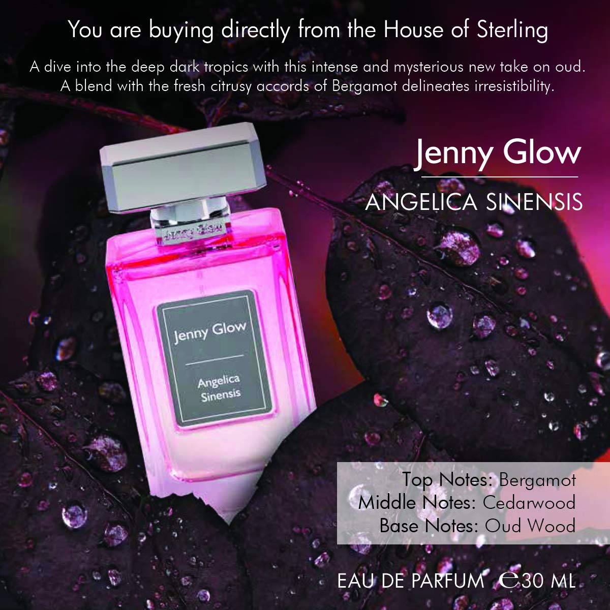 Jenny Glow Angelica Sinensis Eau de Parfum 30ml Spray - Eau de Parfum at MyBeautyBoutique by Jenny Glow