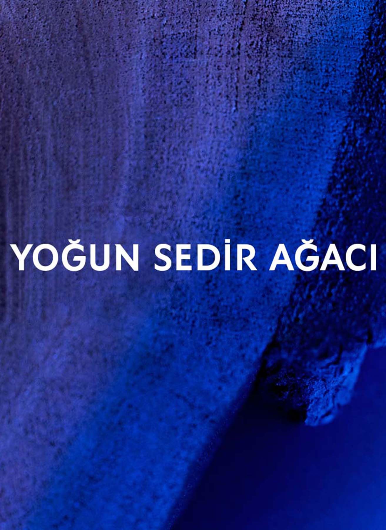 Yves Saint Laurent Y Le Parfum Eau de Parfum 100ml Spray