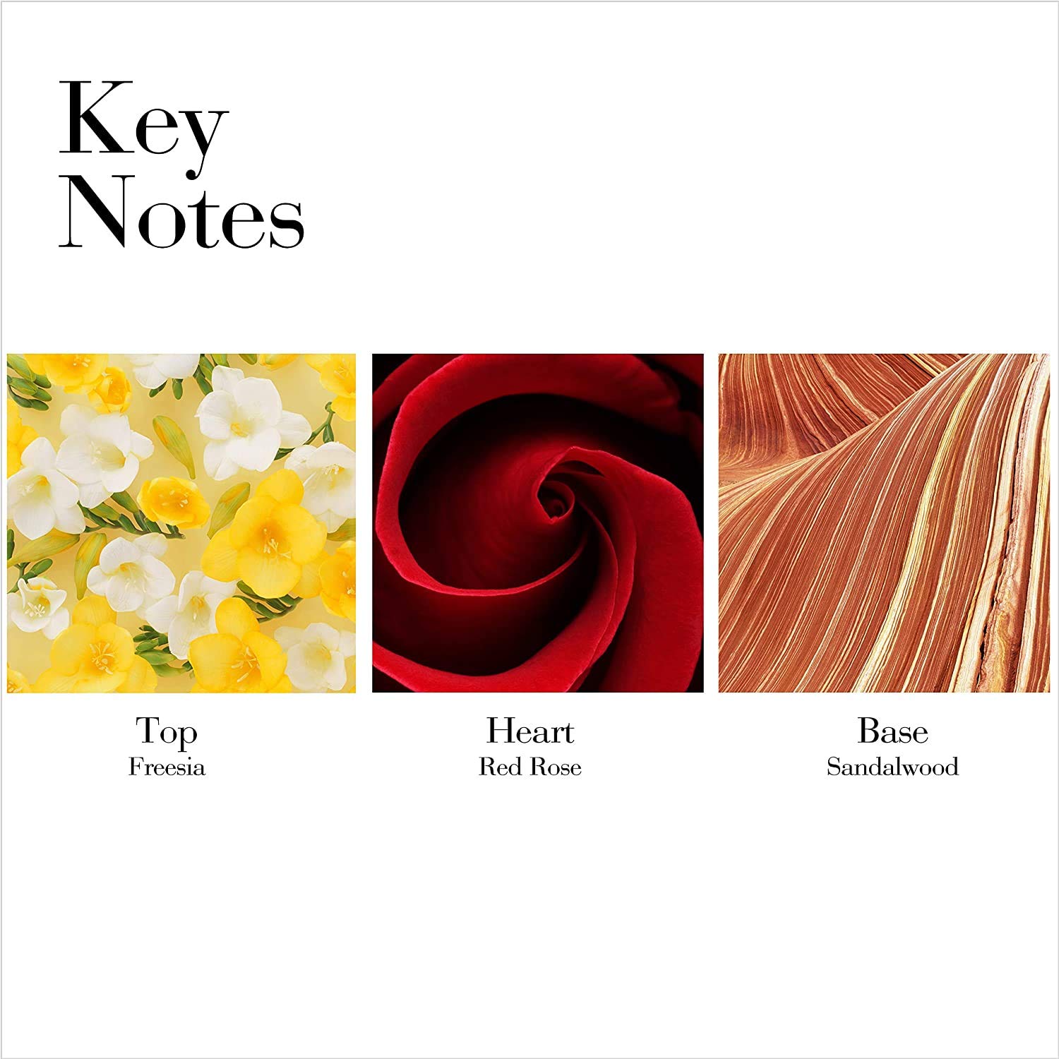 Elizabeth Arden Red Door Body Lotion 200ml