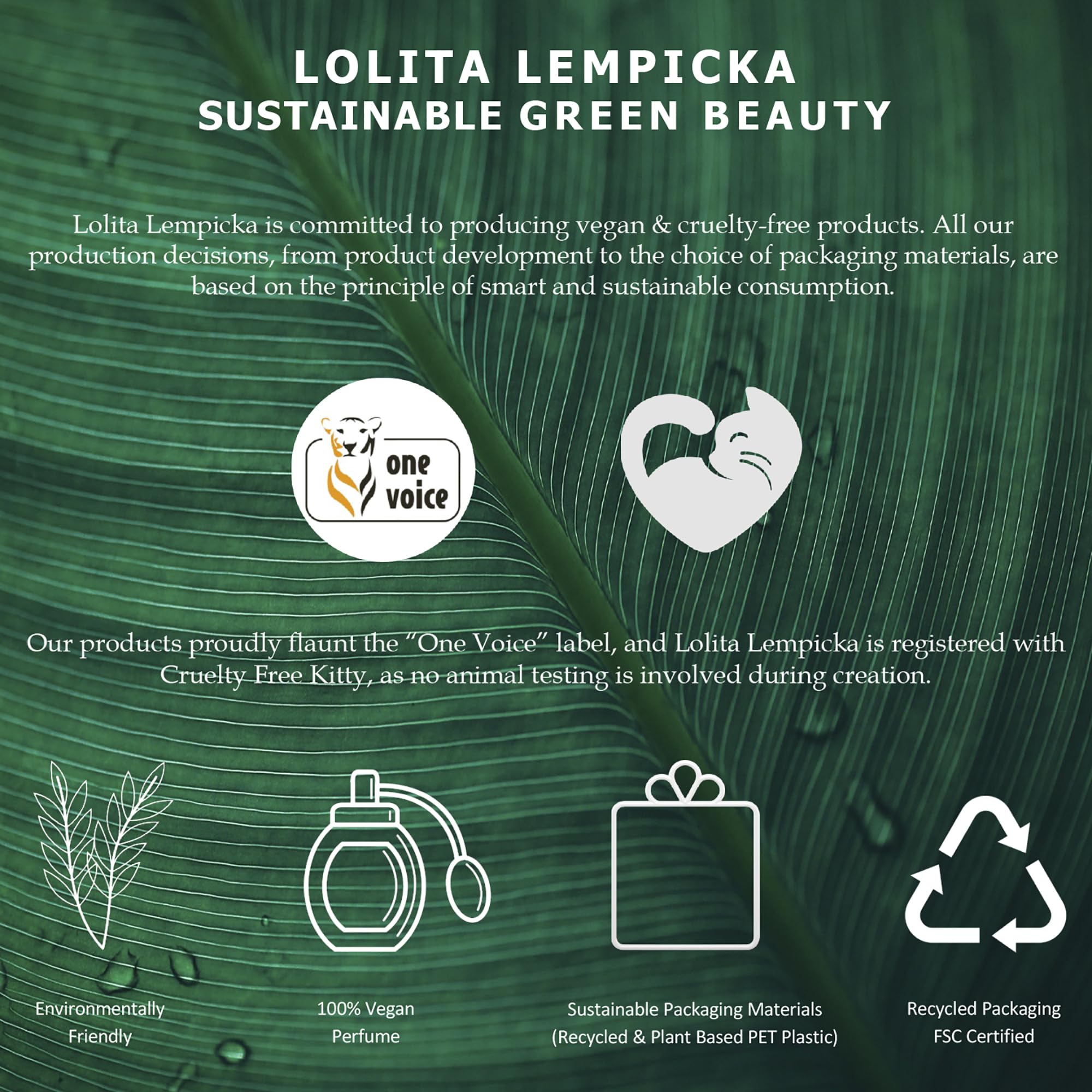 Lolita Lempicka So Sweet Eau de Parfum 50ml - Eau de Parfum at MyBeautyBoutique by Lolita Lempicka